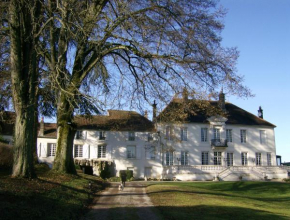 Le Chateau de Prauthoy